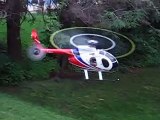 Trex 450, 5 blade rotor head  MD500E and multiblade tail rotor.