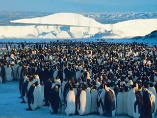 EL VIAJE DEL PINGUINO RODRIGUEZ