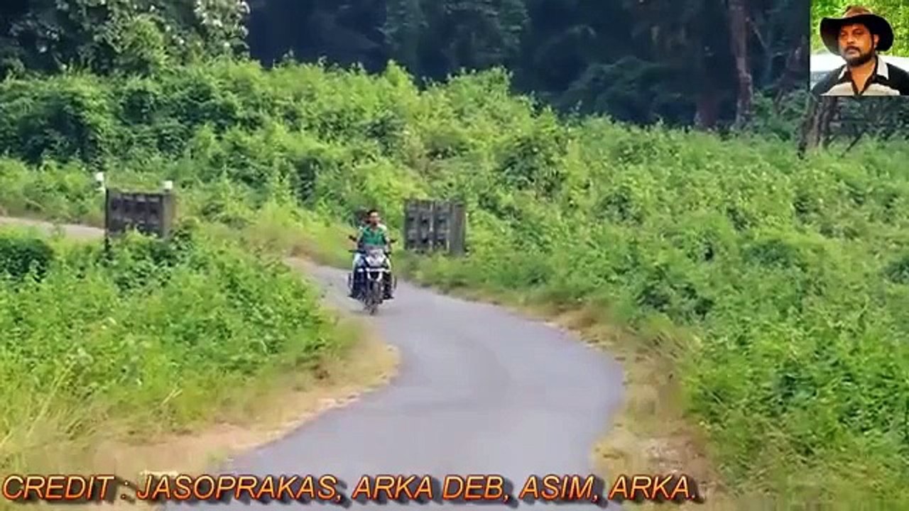 Crazy Animal Attack Human Compilation - Funny animals