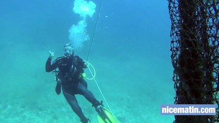 Sea Sheperd nettoie le littoral cannois