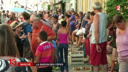 Marché : la saison des cèpes