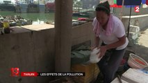 Tianjin : les effets de la pollution