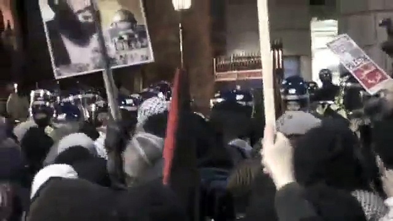 Police fight Protesters: Save Gaza Free Palestine London 3rd January