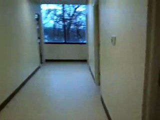 Yale testing their brand new fire alarm system! 1/11/13