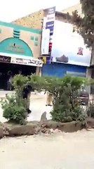 layers and police fighting in Pakistan