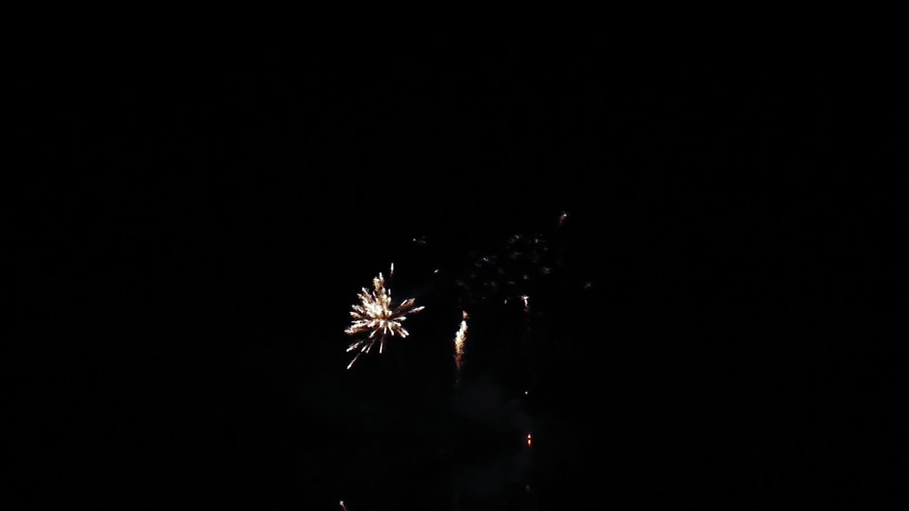 2015 - La Chapelle d'Angillon (18)