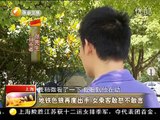 视频: 上海：地铁色狼再度出手 女乘客敢怒不敢言 华夏夜表情 130721