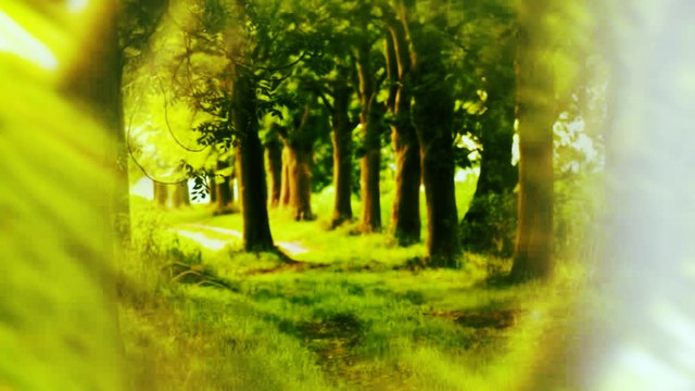 Vukasin Vule Jevtic - Oj, livado, rosna travo