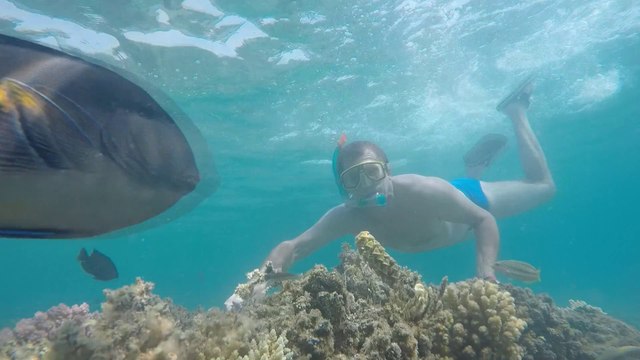 Holiday in Egypt Hurghada. Red Sea underwater, Test GoPro HERO4 Video HD #1