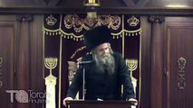TorahAnytime.com Clip - Rabbi Avraham Schorr - The Importance of All 613 Mitzvot
