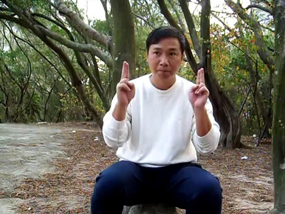 郭林氣功 - 頭部按摩法 Guolin Qigong