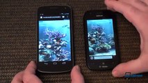 HTML5 Speed - Nokia Lumia 710 VS Samsung Galaxy Nexus (Ice Cream Sandwiches) - www.noel75.it.flv