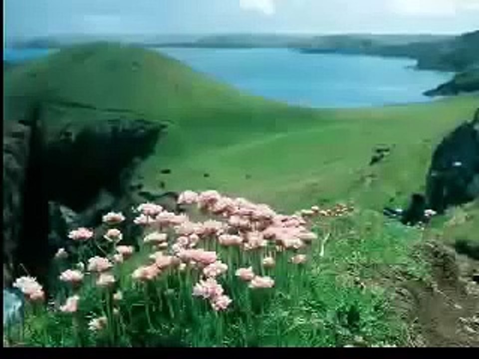 Lord of the Flies Video