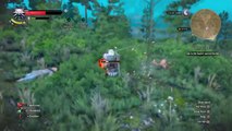 The Witcher 3: Wild Hunt glitch attempt 2