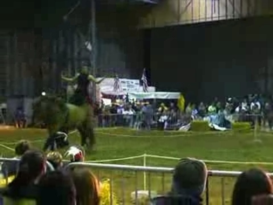salon du cheval spectacle