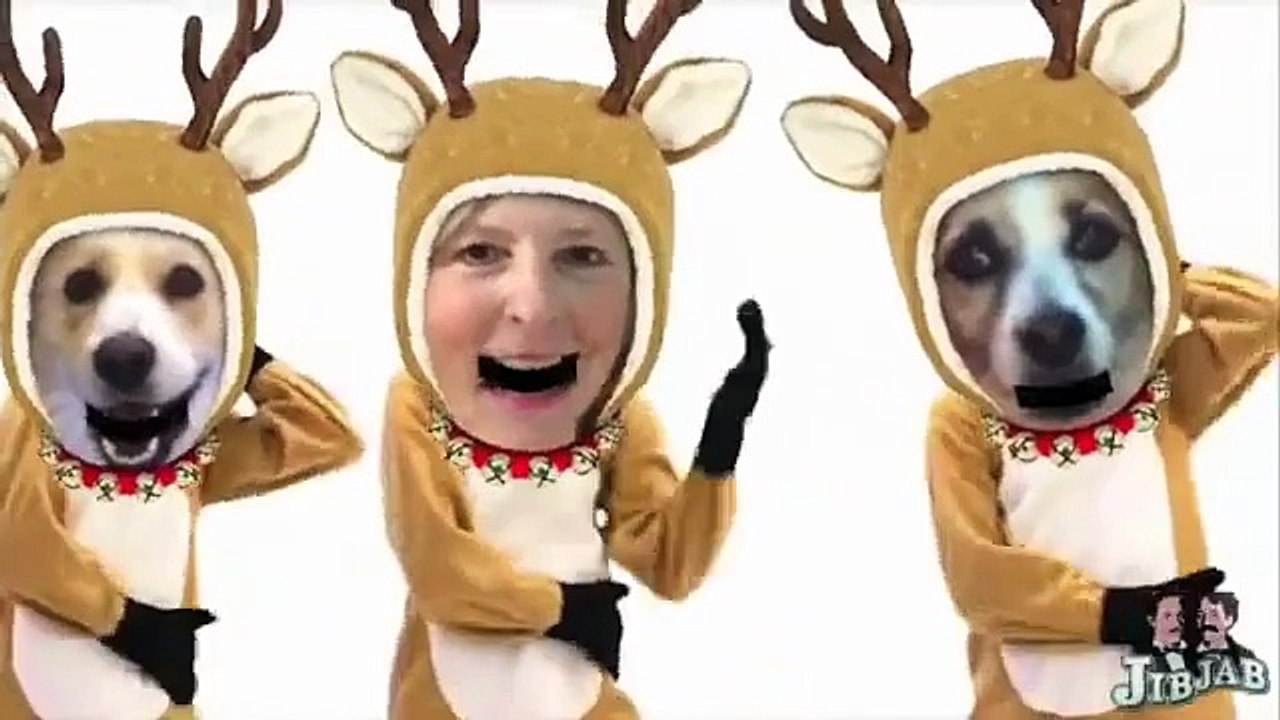 BUDDY DOES THE MACAREINDEER