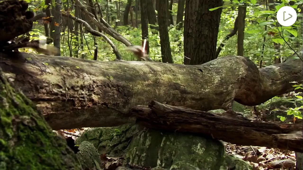 Jedi Chipmunks : Duel au sabre laser Star Wars