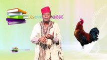 Le Coq Fâché - Les histoires de Lamine Mbengue - Sénégal TV Enfants