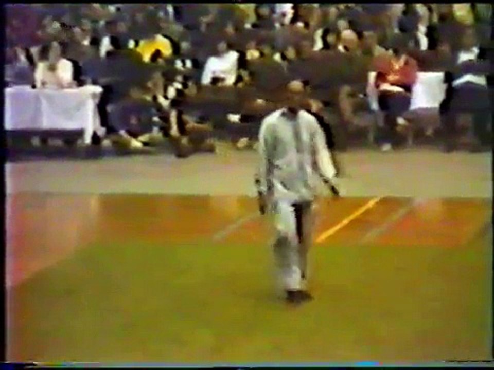 1982上海武術団来日：陳式太極拳（周元龍）