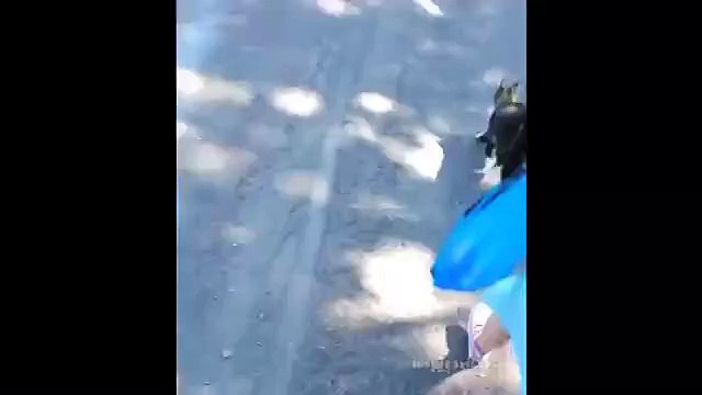 С такой кошкой ничего не страшно )