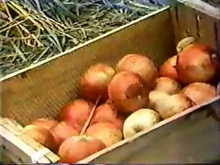 Classic Sesame Street film - making apple cider