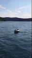 Seal Shelters From Killer Whales in a Dinghy