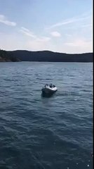 Seal Shelters From Killer Whales in a Dinghy