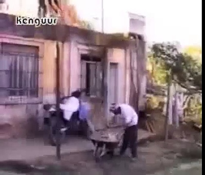 Crazy Blunders Human Ever Did