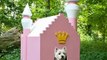 Worlds Most Expensive Dog Houses