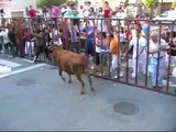 Vacas n San Juan de Mozarrifar 15-8-11
