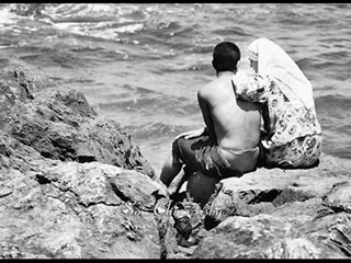 Tamer hosny wala aref