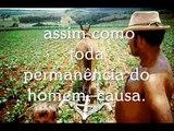 Os Impactos da Agricultura