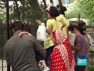 Lahore Zoo has not National animal for Childrens, Dawn News report by Saif Ullah Cheema
