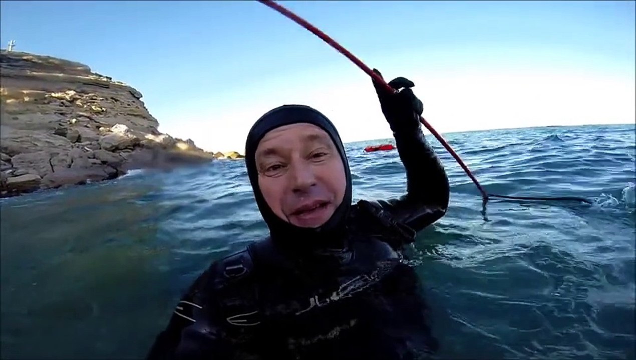 Chasse sous-marine au "Polespear" sur les Seiches de Leucate