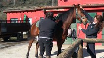 A cavallo sul lago di Martignano