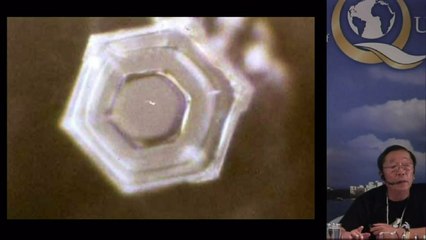 Dr. Masaru Emoto Shows the Effects of Playing Music (Madame Butterfly) on Water at WCQM
