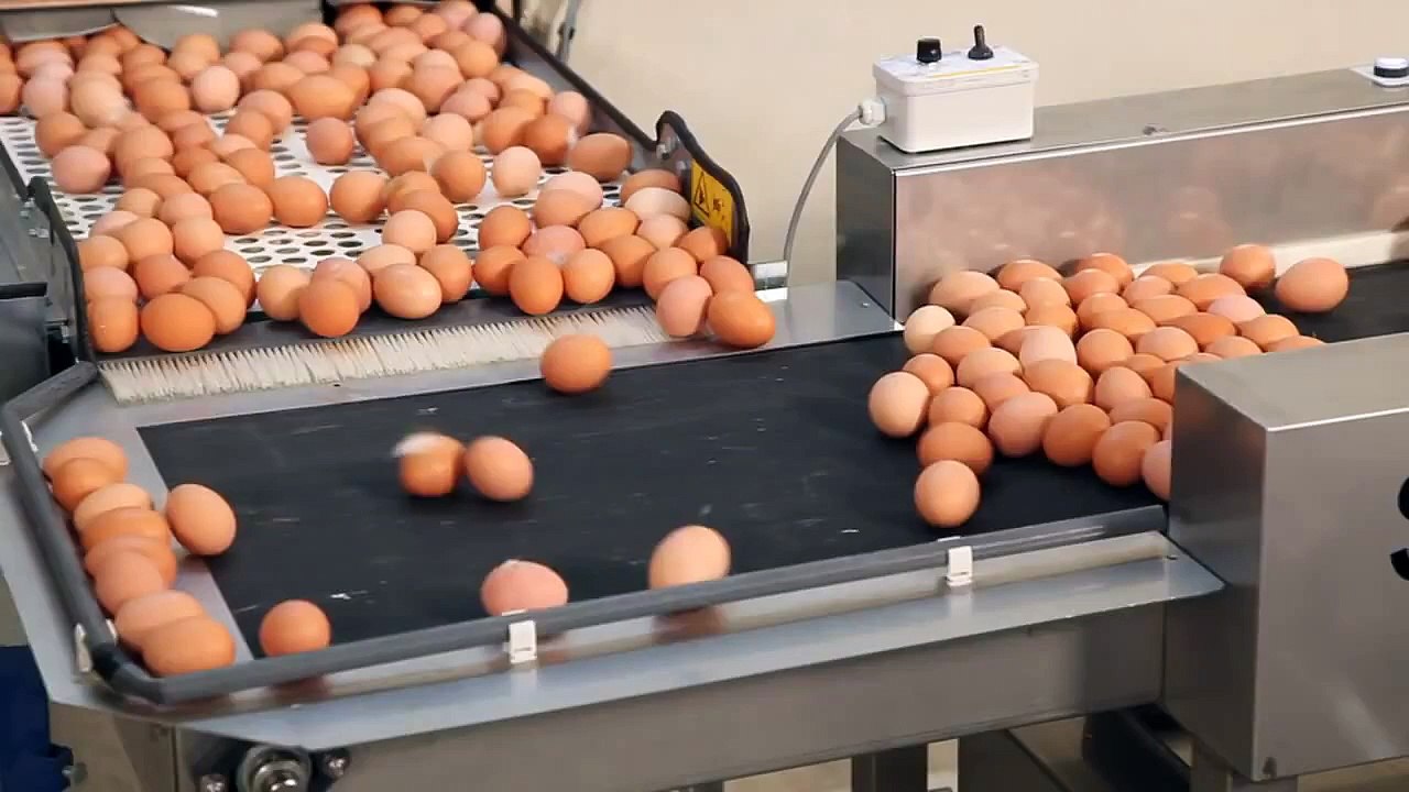 STAALKAT Farmpacker 40