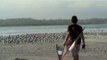 Jinx Sport Kite Demo Video - Widescreen