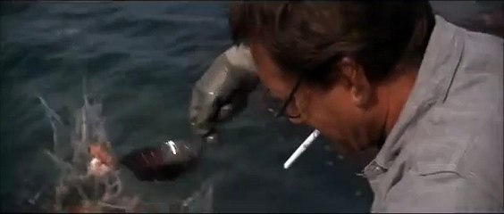 "You're gonna need a bigger boat." Hajen på Blu-ray 22 augusti 2012