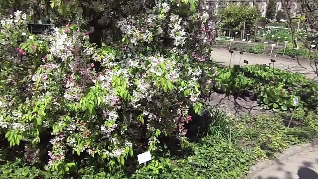 ✭ DIY: MINI FALDA (SIN PATRON!)