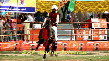 Horse-MPEG-4