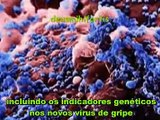GRIPE SUÍNA (INFLUENZA A H1N1) Criado em Laboratório...Será que é verdade???