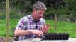 Growing Chickpeas - How to sow and grow Chickpeas