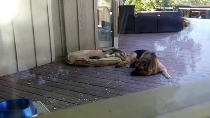 Having trouble getting your kids into bed