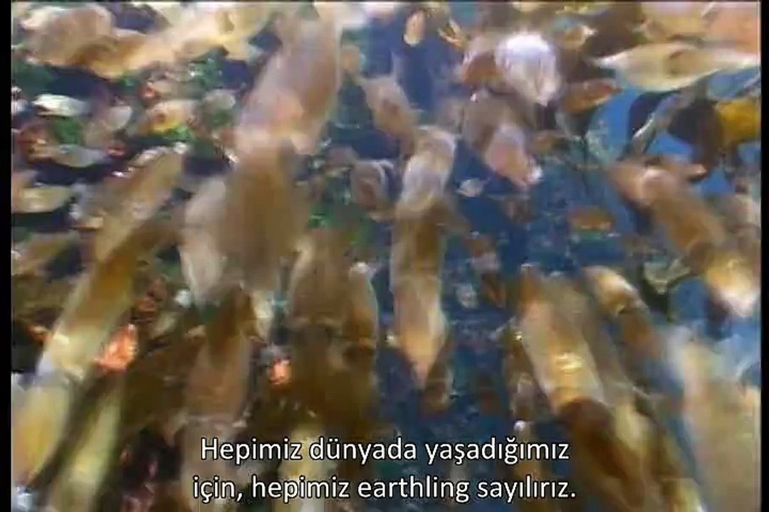 Dünyalılar : Earthlings