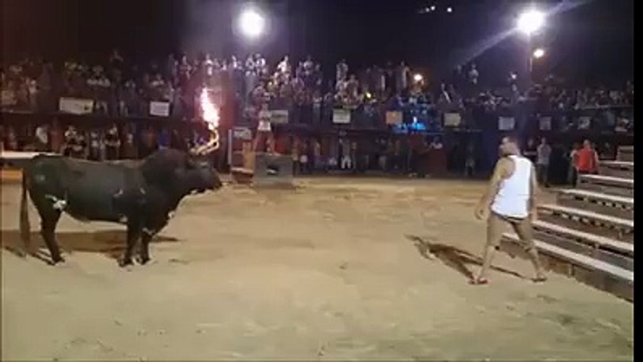 Bull attacks man