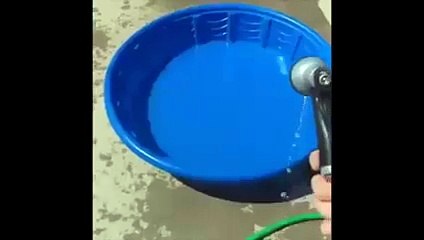 It's gonna take forever to fill up that tub!