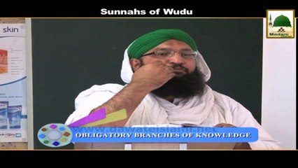Sunnahs of Wudu - English Short Clip