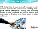 Web Design Guys - Websites-Hosting-SEO