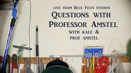 Questions With Professor Amstel, Episode #16 - Kickstarter